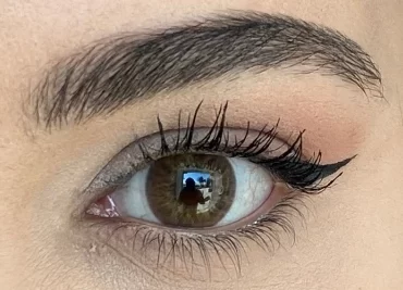 Bollena Deep Brown